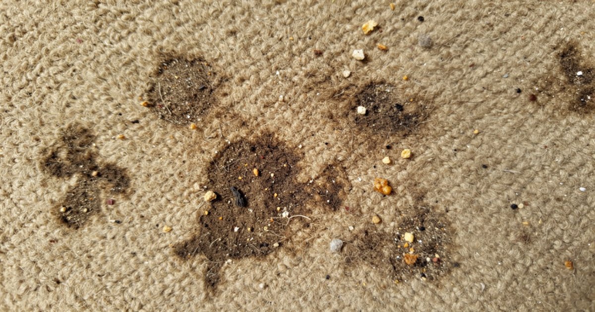 Diğer Yıkama Hizmetleri