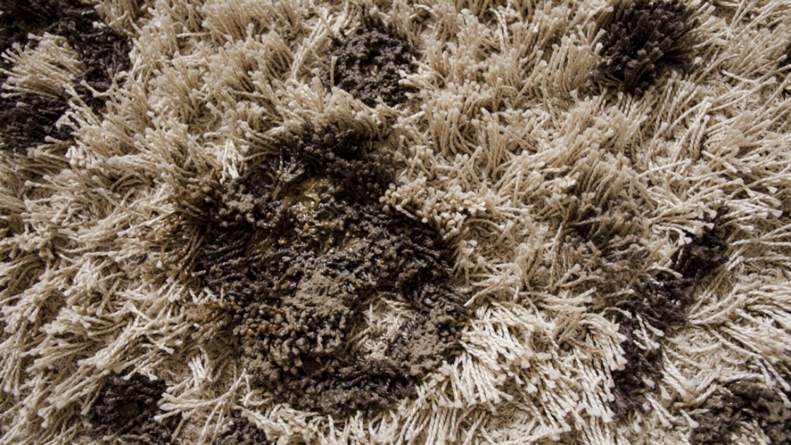 Sakarya Halı Yıkama